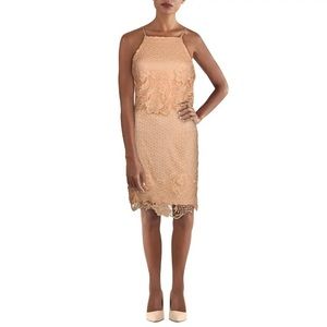 BB Dakota Womens Bryn Lace Daytime Party Halter Dress size 0 Tan beige new w/tag
